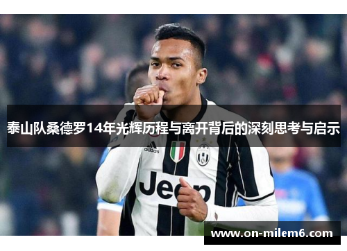 泰山队桑德罗14年光辉历程与离开背后的深刻思考与启示