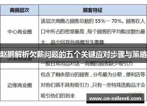 赵鹏解析欠薪问题的五个关键应对步骤与策略