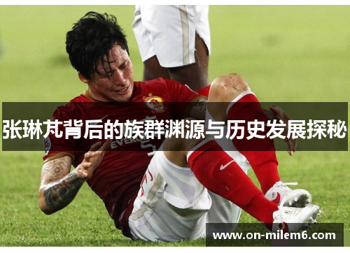 张琳芃背后的族群渊源与历史发展探秘