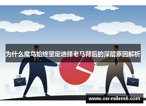 为什么魔鸟始终坚定选择老马背后的深层原因解析
