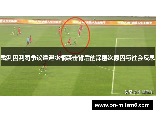 裁判因判罚争议遭遇水瓶袭击背后的深层次原因与社会反思
