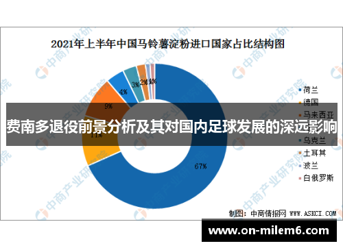 费南多退役前景分析及其对国内足球发展的深远影响