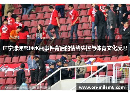 辽宁球迷怒砸水瓶事件背后的情绪失控与体育文化反思
