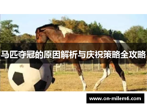 马匹夺冠的原因解析与庆祝策略全攻略